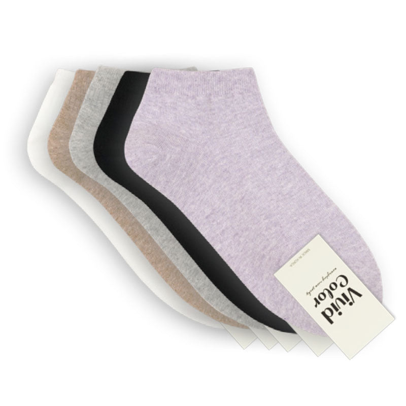 Basic Ribbed Mini Socks Vivid Socks