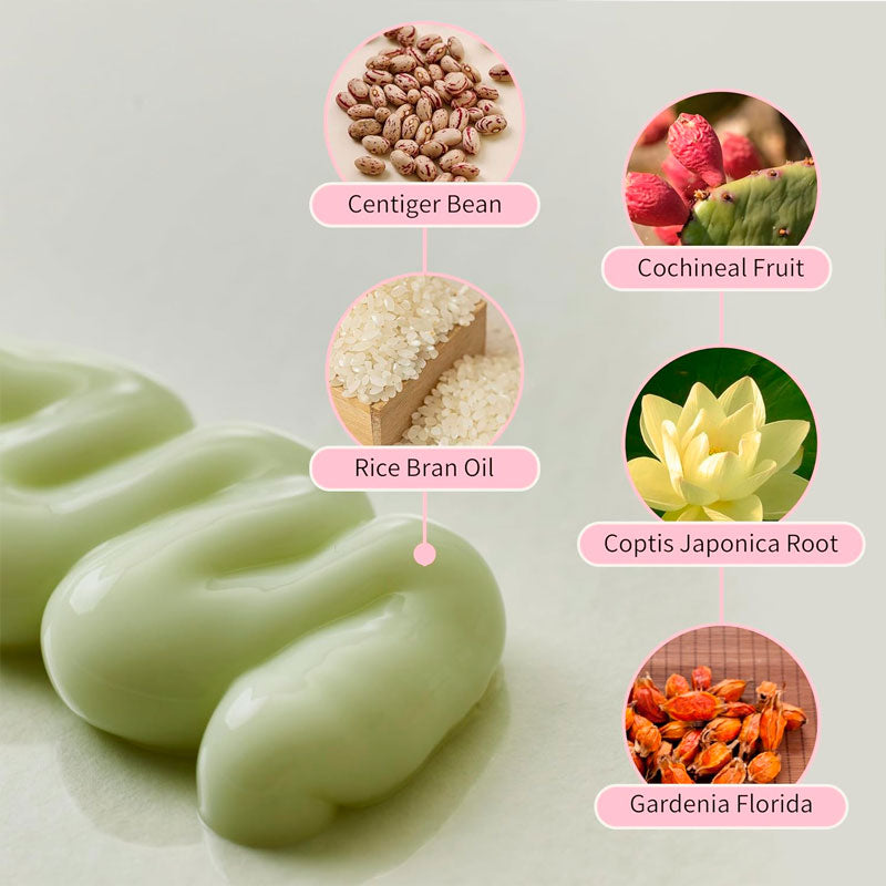 Free Beauty of Joseon Jelloskin Massage Cream for Face and Body 200ml Beauty of Joseon