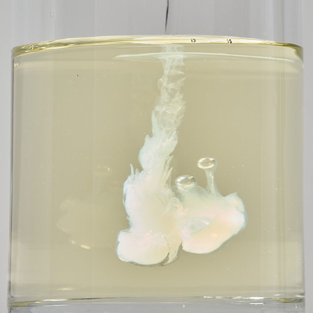 Round Lab Soybean Nourishing Cleansing Oil 200ml Round Lab