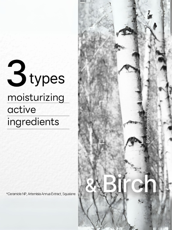 Mediheal Dermaplus Birch Mask 22ml