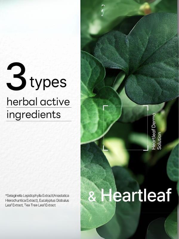 Mediheal Dermaplus Heartleaf Mask 22ml