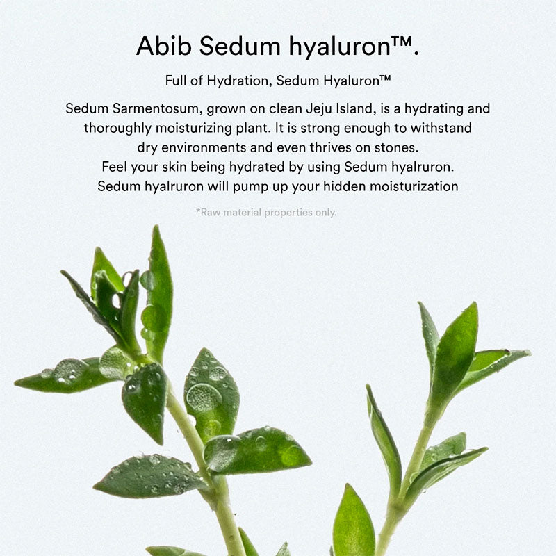 Abib Sedum Hyaluron Pad Hydrating Touch 165ml / 75pads