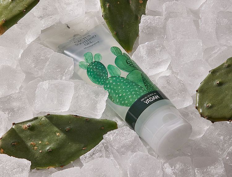 Yadah Cactus Soothing Gel 105ml Yadah